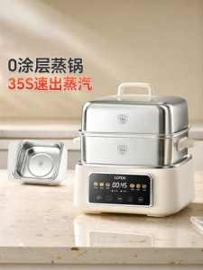 Plastic-free Multi-functional Electric Steamer 1unit
