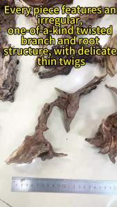 1PC Tự Nhiên Có Thể Chìm Gỗ Trôi Trang Trí Bể Cá Gỗ Cho Bể Cá Thực Vật Thủy Sinh Phong Cảnh Thân Thiện Với Môi Trường Cá Trang Trí