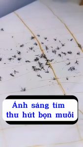 [Mẫu Mới 2023] Vợt Muỗi Thông Minh Gấp Gọn 2 Chế Độ Kiêm Đèn Bắt Muỗi Tự Động Ban Đêm 2 Lớp Lưới Bảo Vệ An Toàn