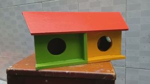 (HCM)Tổ chim yến phụng manh manh bảy màu