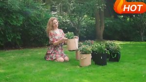 Sweet 1-10 Gallon Big Plant Flower Grow Bags: A Guide to Home Garden Growing Pots