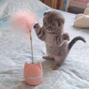 Petone dOrage | Interactive Feather Tumbler Bell Rotate Toy Teeth Grinding Cat Toy