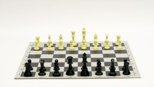 51 x 51cm Chess Mat Games Tournament Chess Board