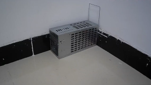 เรียบง่าย กับดักหนู กับดักหนูต่อเนื่อง ใช้ได้จริง ประสิทธิภาพสูงในก หนูไม่ แข็งแรง ทนทาน กรงดักหนู ( 2ประตู）Double-door