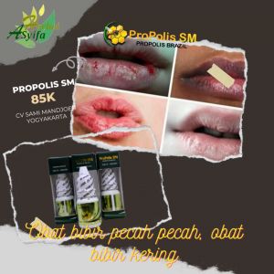 Obat bibir pecah pecah obat bibir kering pemerah bibir alami obat untuk bibir kering solusi bibir kering agar bibir merah mengatasi bibir kering dan hitam dgn PROPOLIS SM ASLI