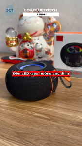 Loa Bluetooth Giá Rẻ P Pro 1 – Âm Cực Hay Giá Tốt Bảo Hành Lỗi 1 Đổi 1