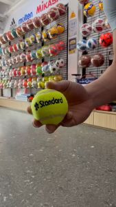 Tennis Ball ลูกเทนนิส ซ้อมหรือทำกิจกรรมต่างๆ (12ลูก)