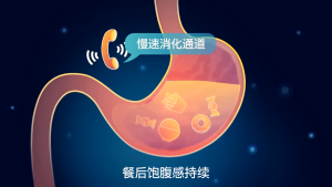 【100% original-BUY 3 GET 1 FREE】Eimele Calibrate Reds/亦餐纤体粉/口服纤体针粉 (Carbo-Blocker Weight Loss Bloating )