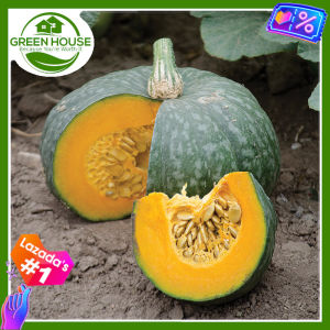 Green House® - Kalabasa Seeds for Planting Vegetable Plants (20 Seed) incl. Planting Instructions Squash Plant Pumpkin
