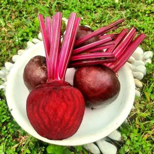 Buah Bit Segar 1kg - Langsung dari kebun