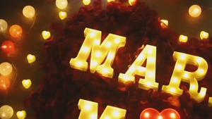 LED Letter Lights MARRY ME HAPPY BIRTHDAY I LOVE YOU | Romantic Party Decor