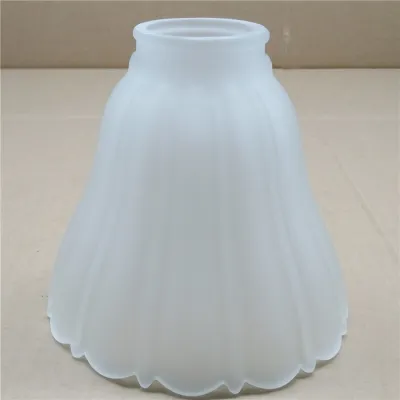 Frosted Glass Light Shade