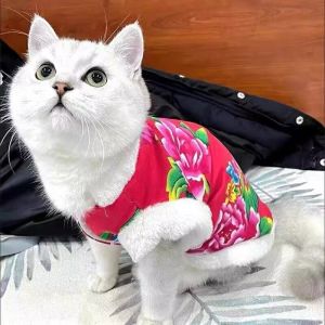 Teekland Phong cách Trung Quốc Dog Flower Áo khoác bông mềm ấm mèo cưng Quần áo chó Áo khoác năm mới trang phục bộ trang phục mùa đông