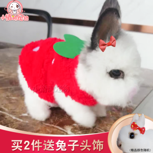 Rabbit Clothes Fall and Winter Rabbit Vest Rabbit Clothes Heattech Loppy Eared Rabbit Supplies Pygmy Rabbit Pet Rabbit Cute