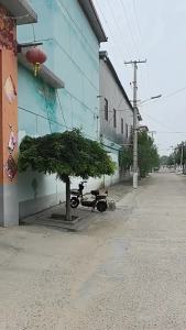 Membekalkan Lampu Terapung Elektronik Pelaburan Jauh Perut Besar Melayang Bercahaya Batang Laut Ikan Mas Perak Raksasa Air Besar Pelampung Terapung Pancing Borong Alat Penangkap Ikan