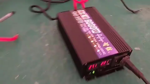 1000W Solar Power Pure Sine Wave Inverter DC12V / 24V To AC220V Home Appliance Travel Voltage Converter
