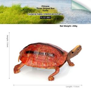 Solid Simulation Tortoise Toy for Kids Educational Gift