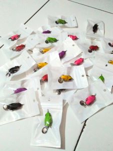 SOFT FROG KECIL MURAH