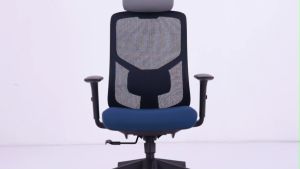 Ergoseat - The Y Series (523 Series) Ergonomic Chair Home Office Chair - Include Delivery