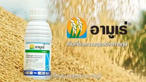 อามูเร่ 250 มล. X 9 ขวด ยกลัง (ไดฟีโนโคลนาโซล+โพรพิโคนาโซล) ป้องกันโรคเมล็ดด่างในนาข้าว
