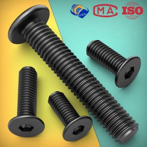 M2 M3 M4 M5 M6 M8 Black 304 Stainless Steel Low Profile Socket Head Cap Screws Hex Key Bolts Ultra Thin Flat Head Allen Hexagon