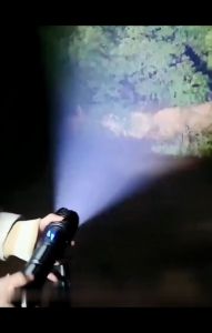 Super Bright Flashlights: A Comprehensive Guide