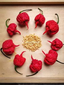 Carolina reaper High quality Seeds