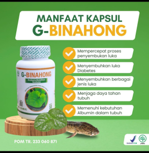 G Binahong Kapsul Ekstrak Binahong Ikan Gabus Percepat Penyembuhan Luka Atasi Diabetes Ampuh
