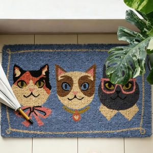 Non-slip Dust-resistant Wear-resistant Door Mat