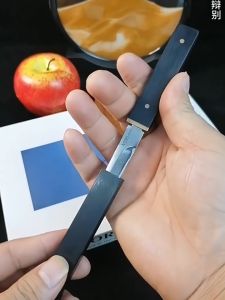 Stainless Steel Creative Fruit Knife with Sheath