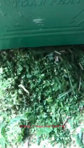 Máy băm cỏ thái chuối . lắp mô tơ 11kw