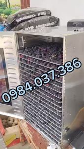 Máy Sấy Thực Phẩm Sấy Nông Sản Khô Dẻo 20 khay