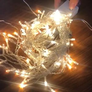Raya Holiday Event Decorative Lighting Plug-in Fairy Lights with 8 Modes 16 Droops LED Curtain String Lights Home Decor