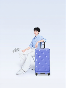 CHEECASE | Large Capacity Side-Opening Expandable Suitcase 24 inch