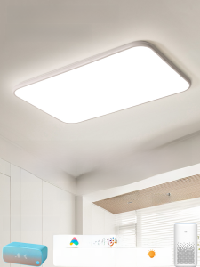 Full Spectrum Eye Protection LED Ceiling Light Living Room Lamp Smart Taobao Spirit Simple Modern Study Master Bedroom Lighting