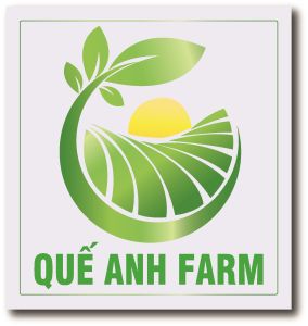 Phân bón Bung Đọt Kích Rễ chuyên Mai 500ml