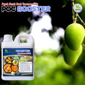 Pupuk Cair Organik InterFarm untuk Mangga - Nutrisi Lengkap & Efektif
