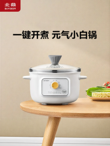 BUYDEEM | Nồi Điện Tự Động Nhỏ Gọn Bằng Thép Không Gỉ