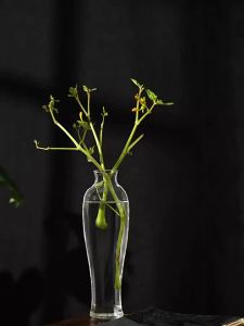Japanese Simple Clear Glass Vase