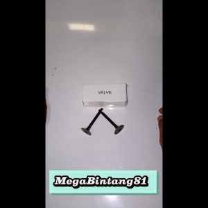 Klep set GX160 Valve set GX160 Klep GX 160 GX200