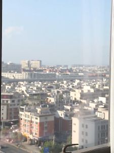 เปลแมวติดกระจก XL รับน้ำหนักได้ถึง 15kg เปลแมว ที่นอนแมว  เปลแมวติดหน้าต่าง ติดกระจก ที่นอนแมว