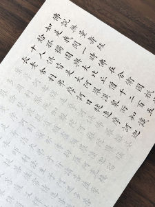 Beginner Calligraphy Practice Book Lin Zexu True Script Buddhist Sayings Infinite Life Brush Script Red Writing Exercise Booklet