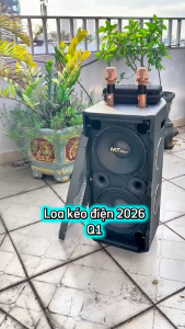 Loa Kéo Karaoke Q01 Bass Đôi 25cm – Công Suất 700W – 8 Đường Tiếng – Kèm 2 Micro UHF