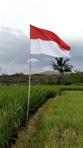 Bendera Merah Putih / Indonesia / Merahputih Merahputi 17 Agustus Agustusan / Ukuran Besar Sedang Kecil Panjang Jumbo / rumahan ukuran 60x90cm | 80x120cm | 100x1150cm | 120x1180cm / Bahan Satin Peles Murah / Katun Micro Premium