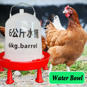 Large Automatic Chicken Bowl Water FeederFood Bucket Farming Water Dispenser For Broilers Hen Chick