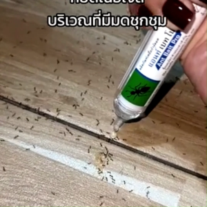 ⚡ราคาโปรโมชั่น⚡เจลกําจัดมด Anti Ant ยาฆ่ามด เหยื่อกำจัดมด เจลฆ่ามด หยดเดียวตายยกรัง แอนท์เบท เจลกำจัดมดโดยเฉพาะ กําจัดมด