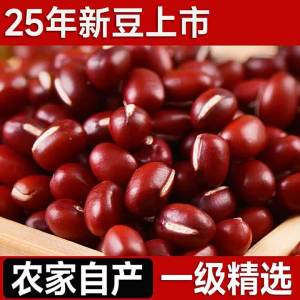New Harvest Large Red Small Beans