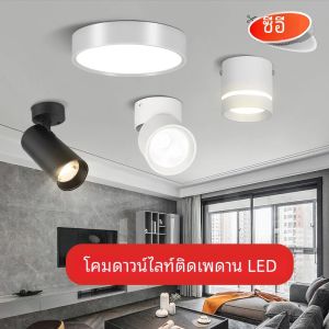 Led Downlight Spotlight Ceiling Lamp 220V 5W/10/15 Surface Mounted Led Down Lamp Spot Lights Ceiling Light Ceiling Fixtures Lighting For Living Room Lighting Kitchen Corridor Hallway Lighting