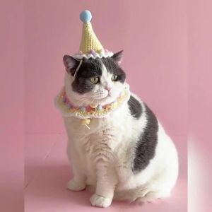 Pet birthday knitted hat bib set cat dog yarn crochet party outfit small pet photography accessories
