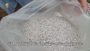 เพอร์ไลท์ (Perlite) ขนาด 4-8 mm วัสดุปลูกช่วยรายเดินดี บรรจุ 1 ลิตร